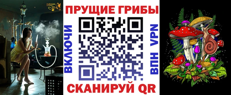 kraken зеркало  Починок  Псилоцибиновые грибы мухоморы 