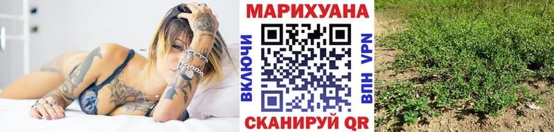 где купить Починок Бошки марихуана индика